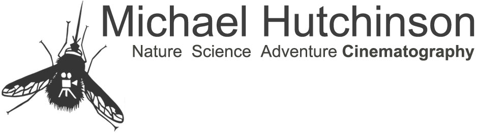 Michael Hutchinson