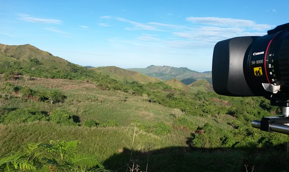 One beast waits for another: Canon's 50-1000mm lens in tamarau country