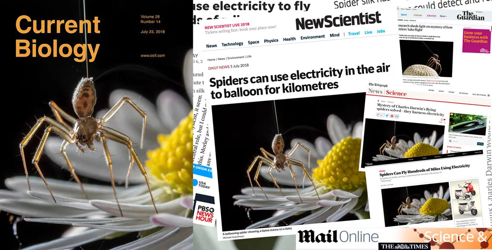 PresswebMH.jpg