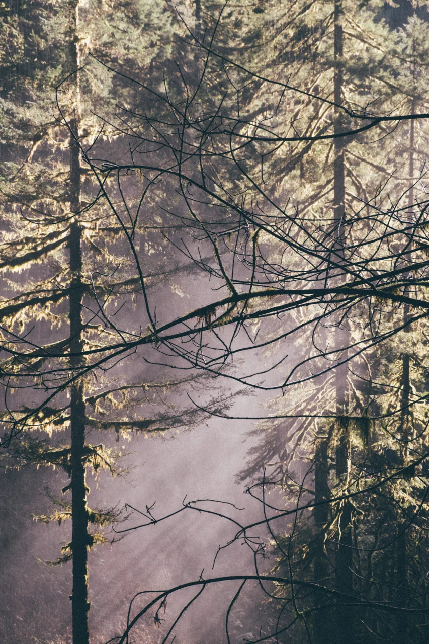 Portland_485_web.jpg