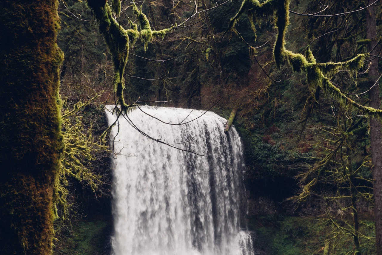 Portland_290.jpg
