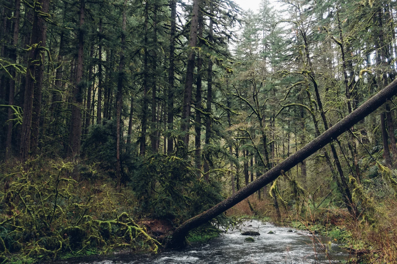 Portland_196.jpg