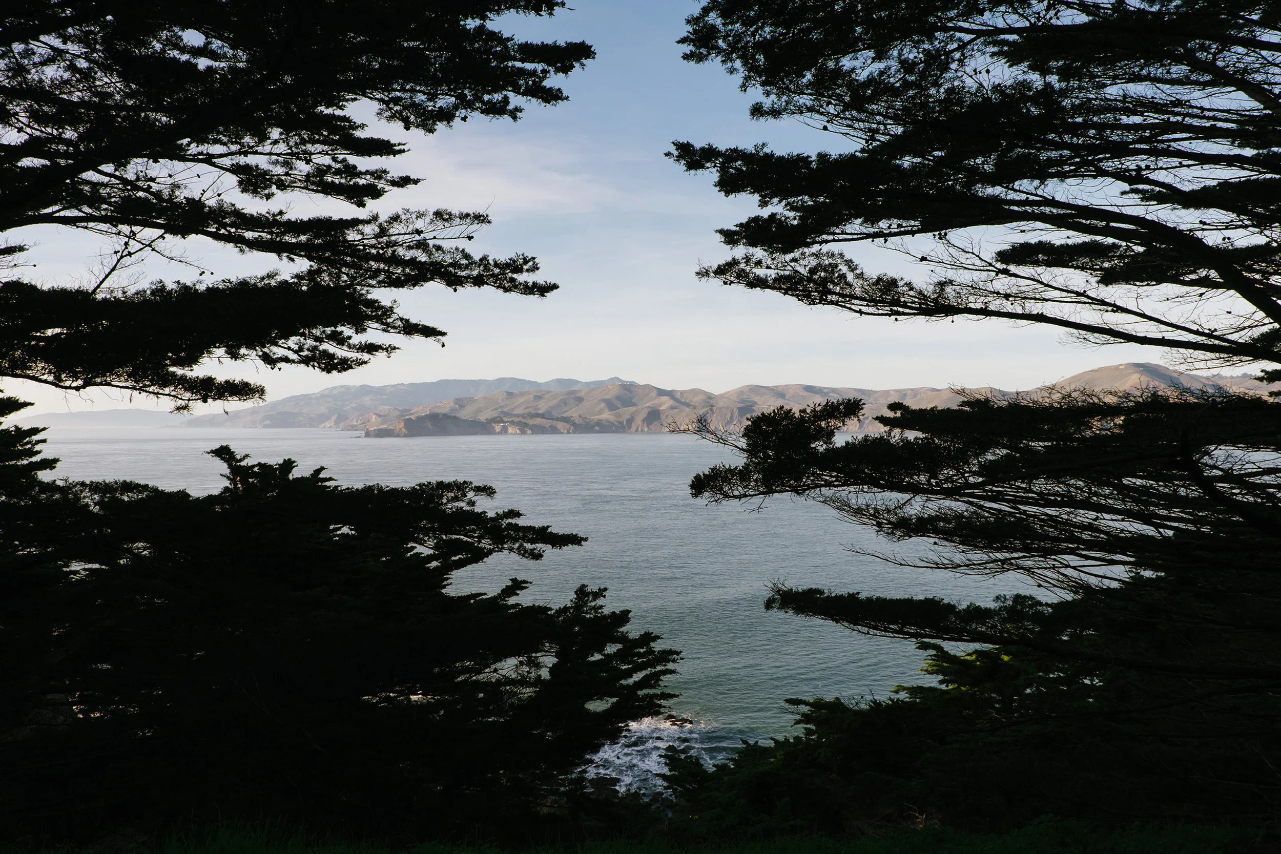 sf2018-51.jpg