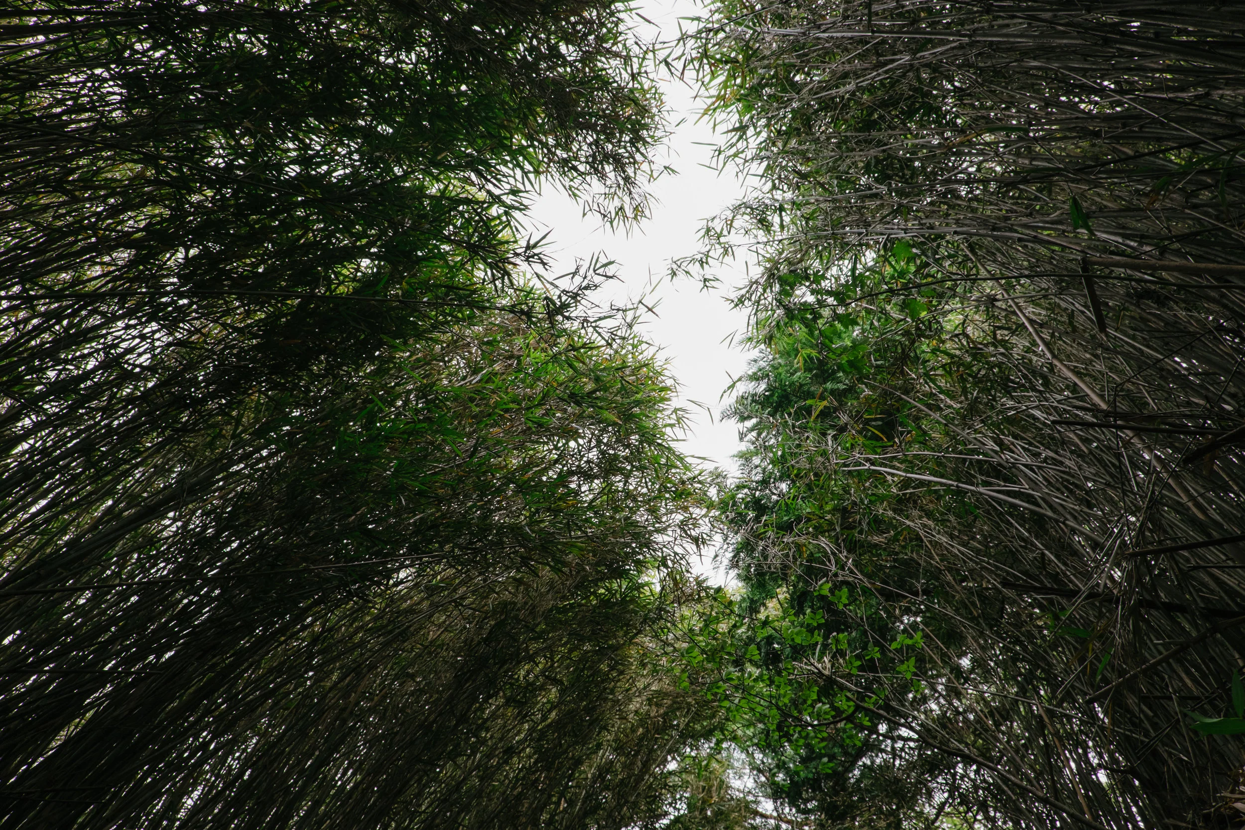hakone-5.jpg