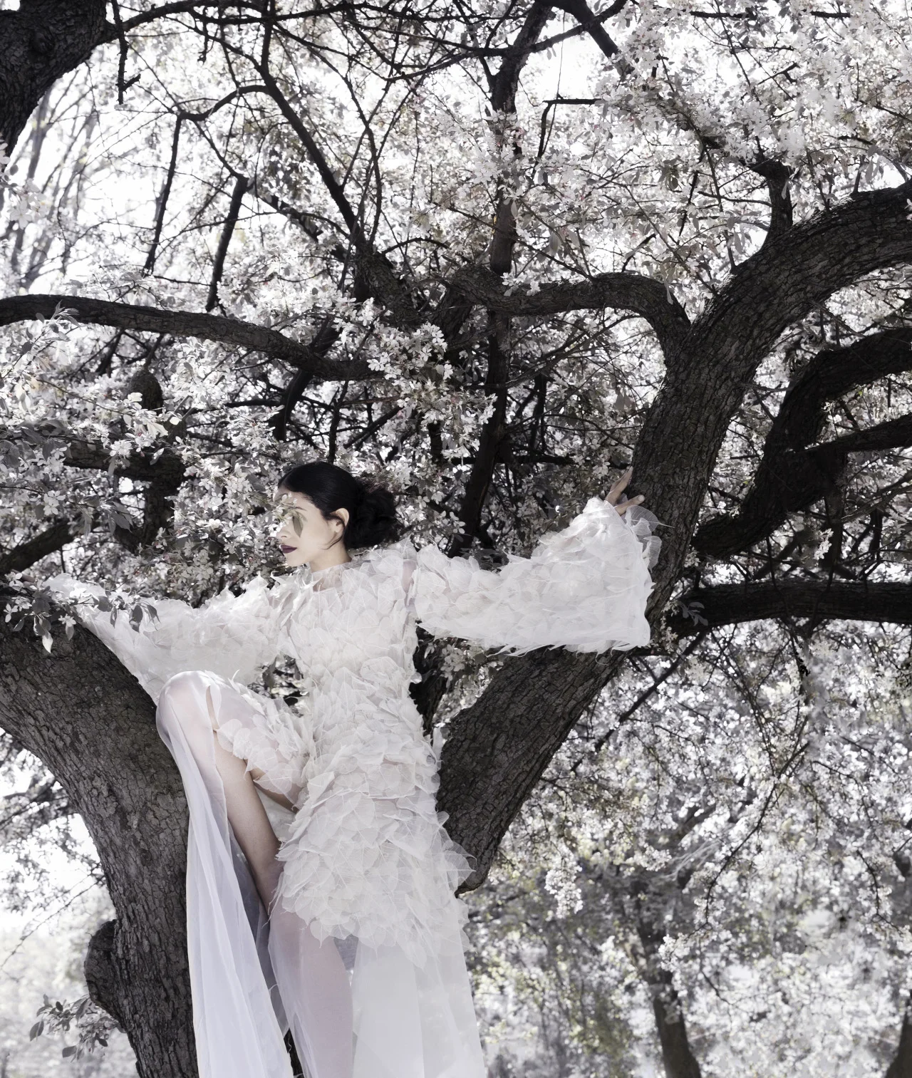 LUCID DREAMLucid dreaming, unlike the rest of the dream states, puts you in complete and total control. You are fully aware that you are dreaming and have free range to explore any destination you desire to be for a temporary amount of time.