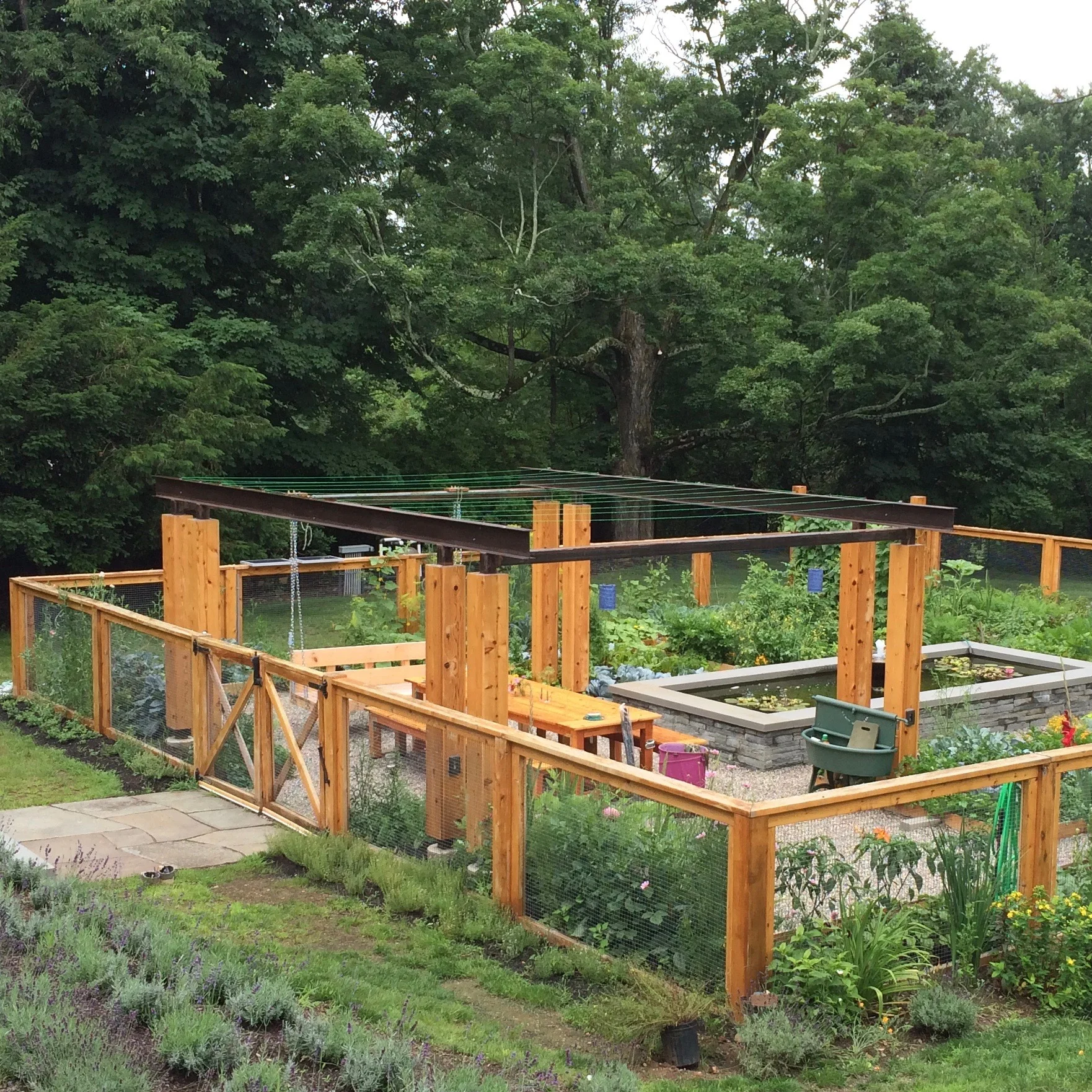 garden.jpg