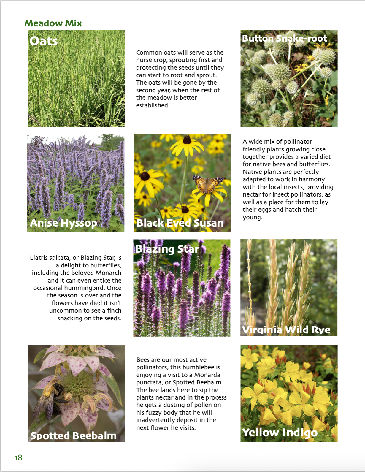 Screenshot 2026-02-28 at 4.09.02 AM.png