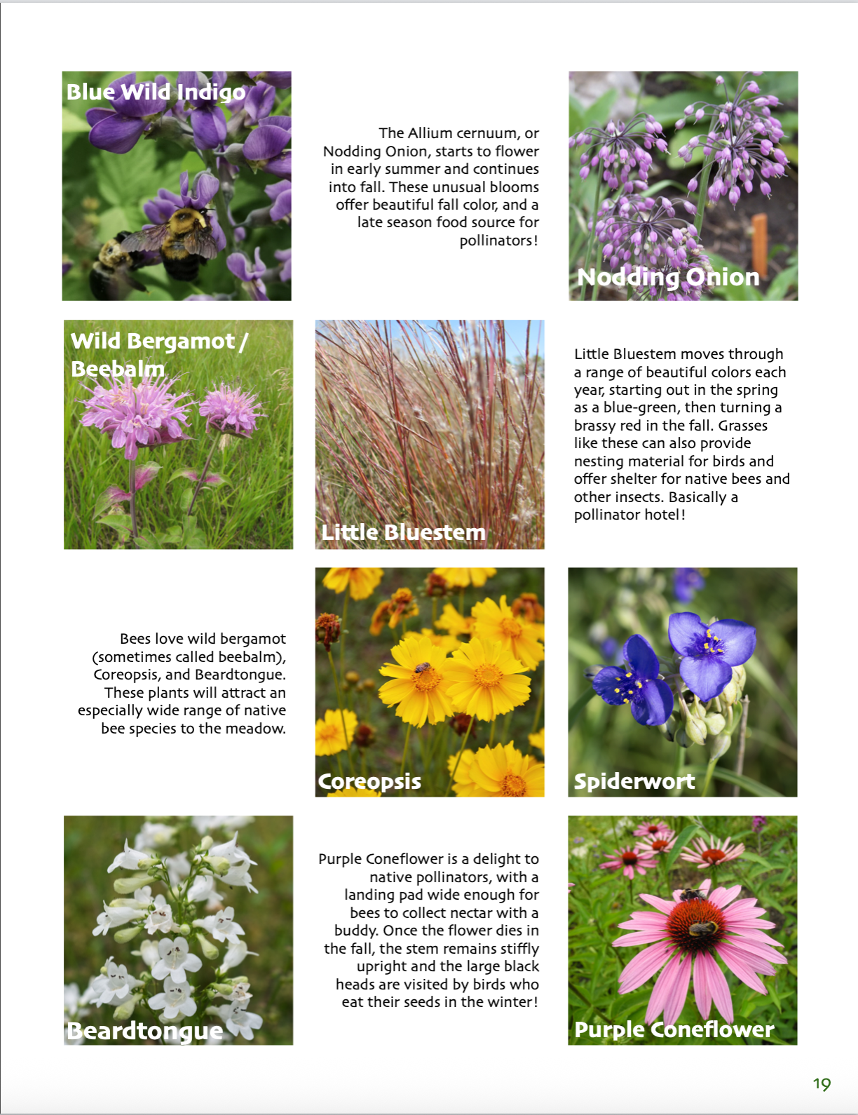 Screenshot 2026-02-28 at 4.09.11 AM.png