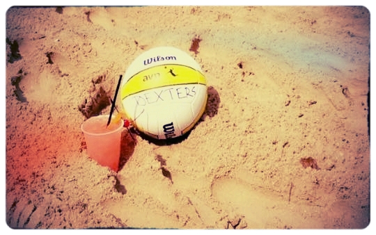 vball pic.jpg