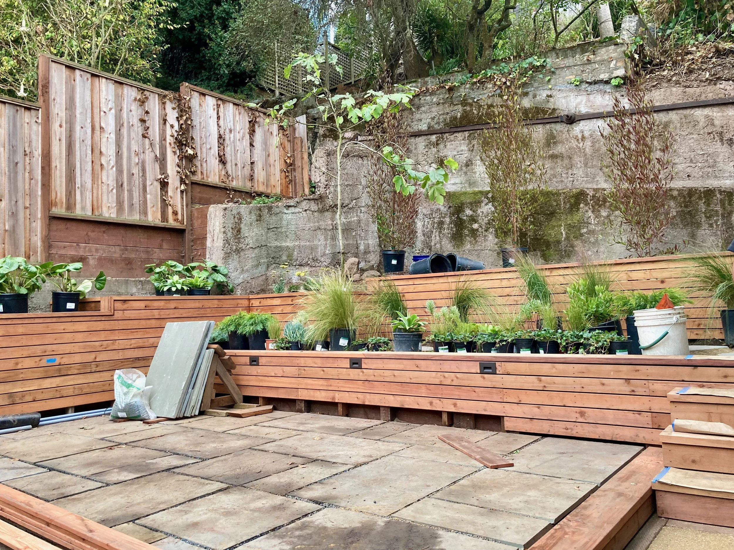 During - Planting.jpeg