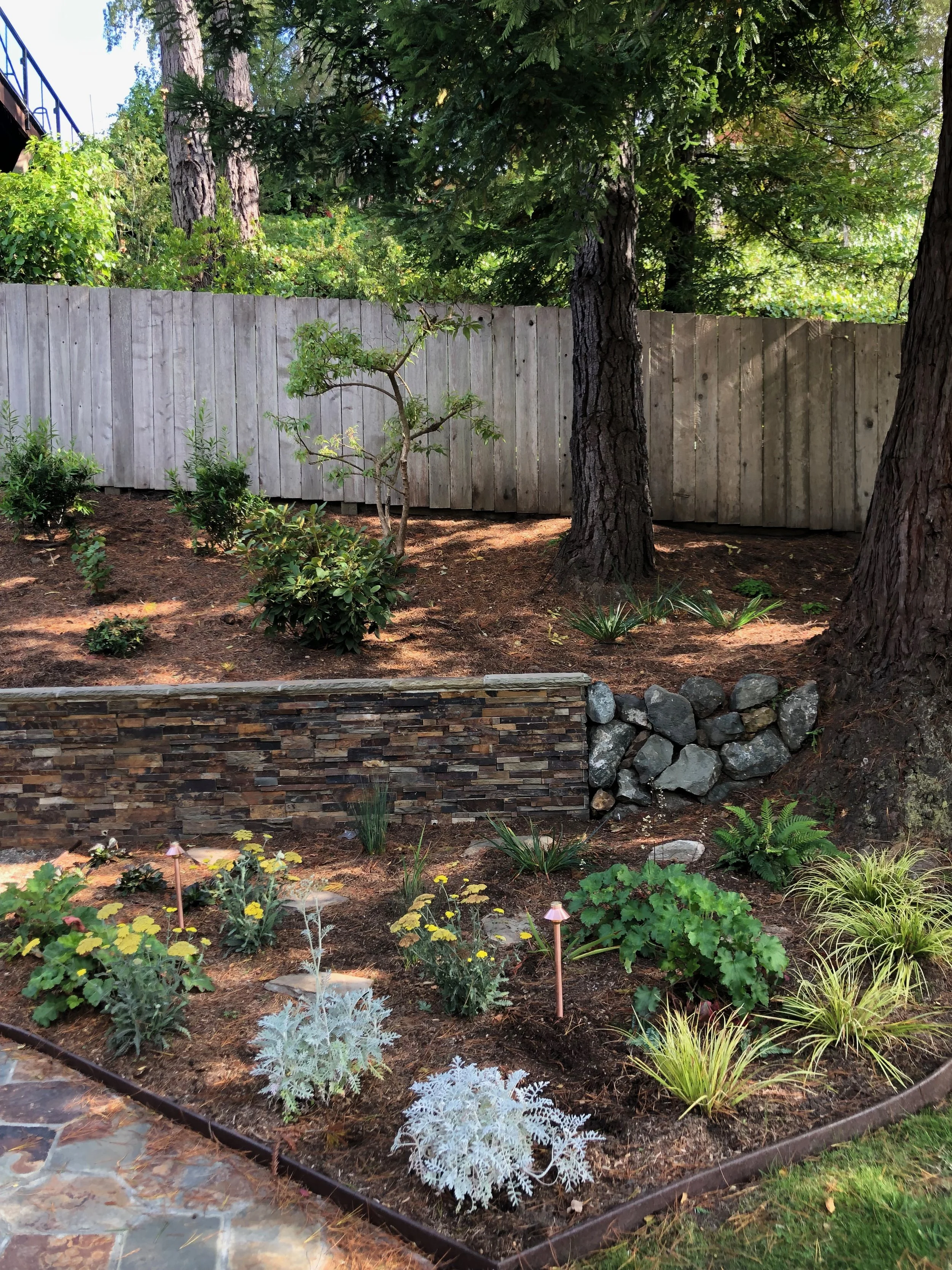 After - path light 1.jpeg