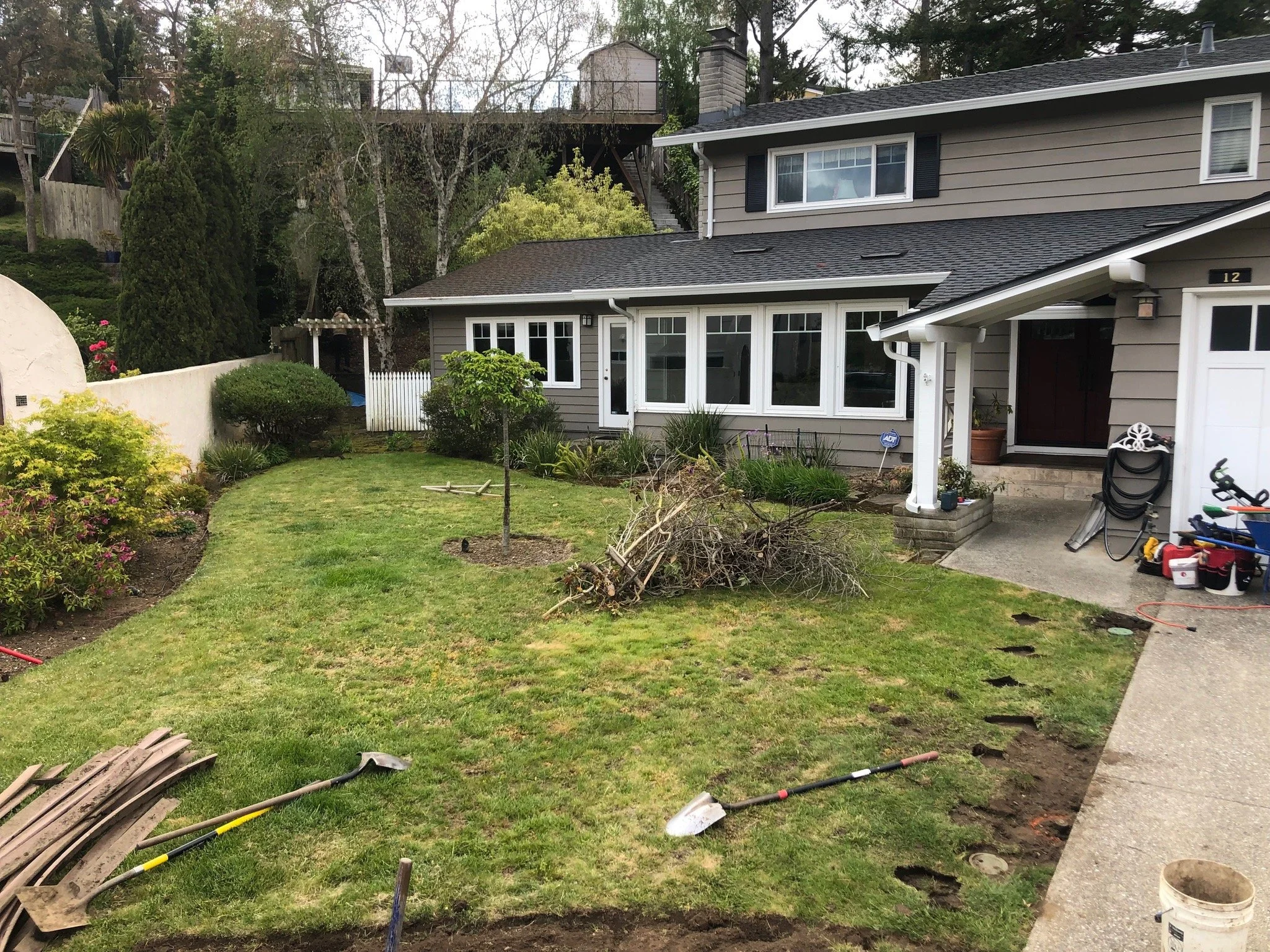 Before - Frontyard 1.jpeg