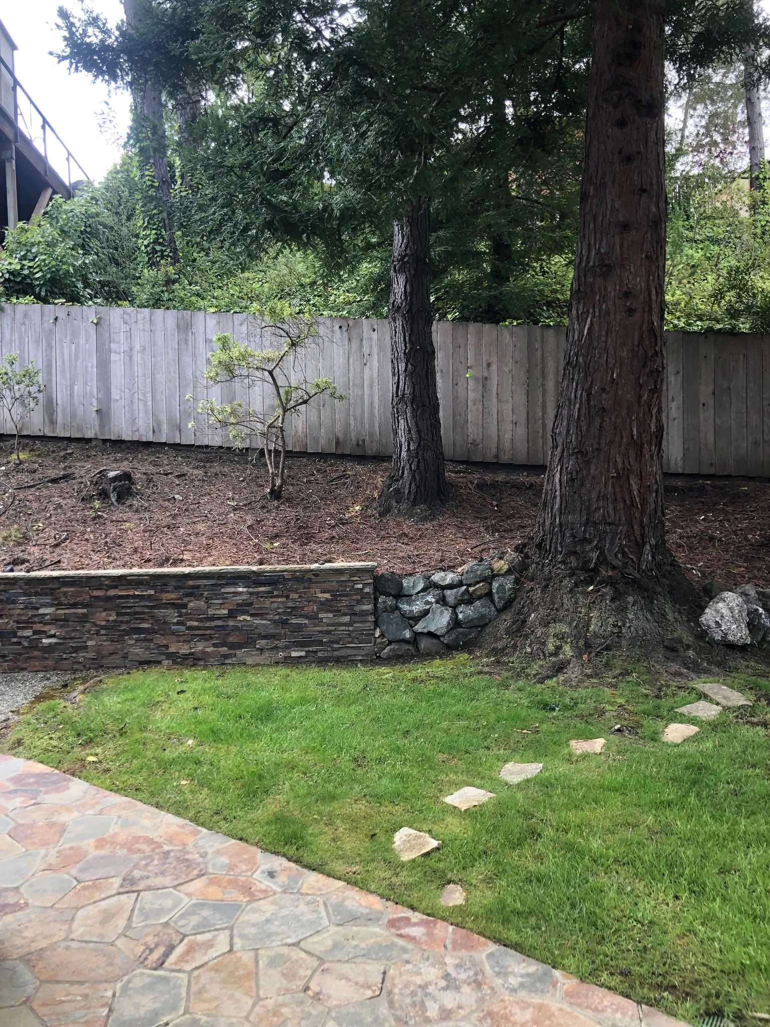 Before - Backyard 3.jpeg