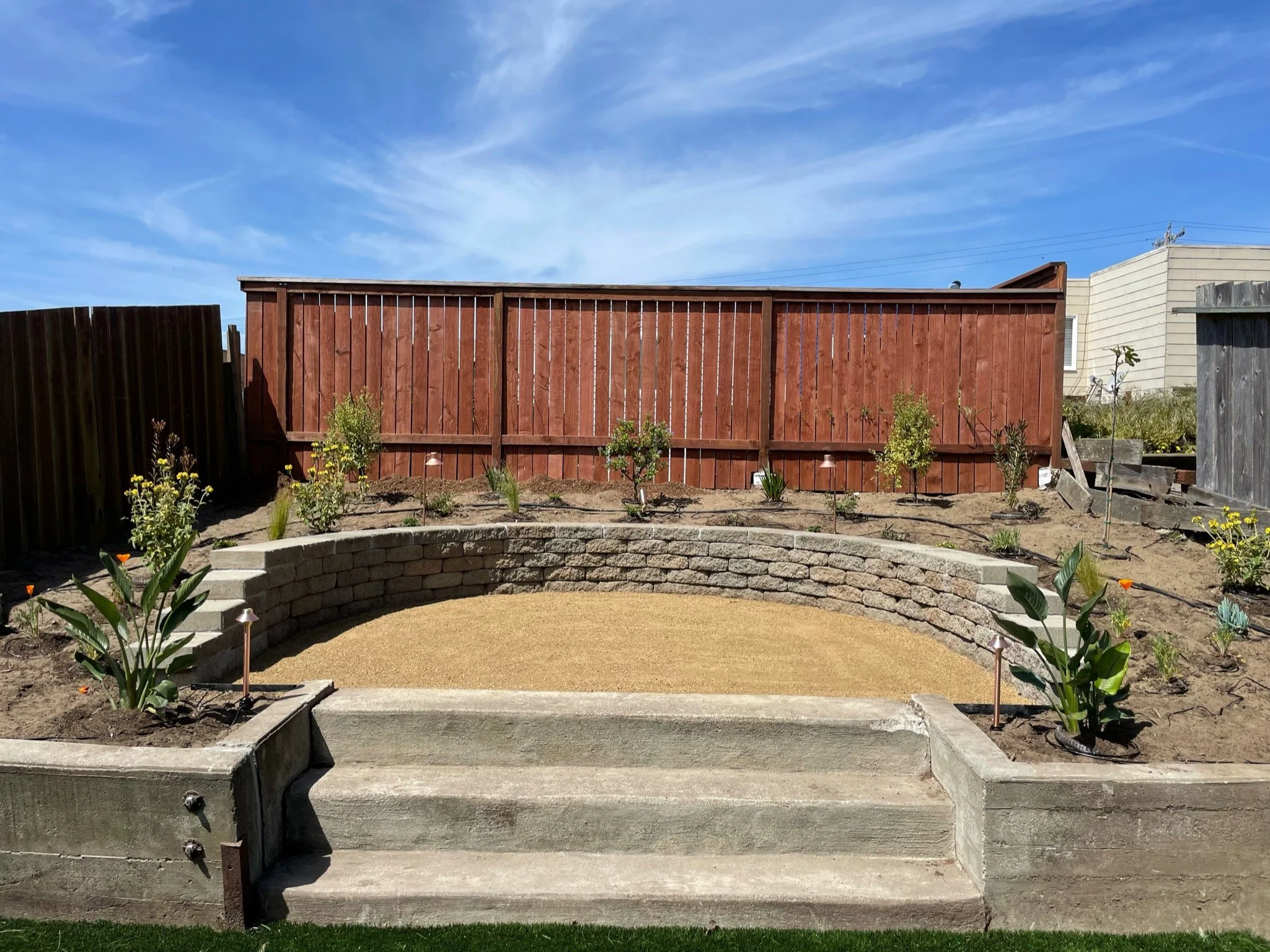 Plants in ground.jpeg