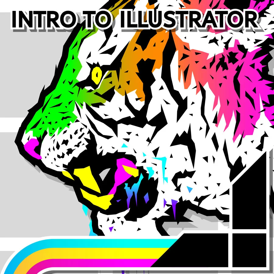 Workshops_Summer2018_Illustratorweb.jpg