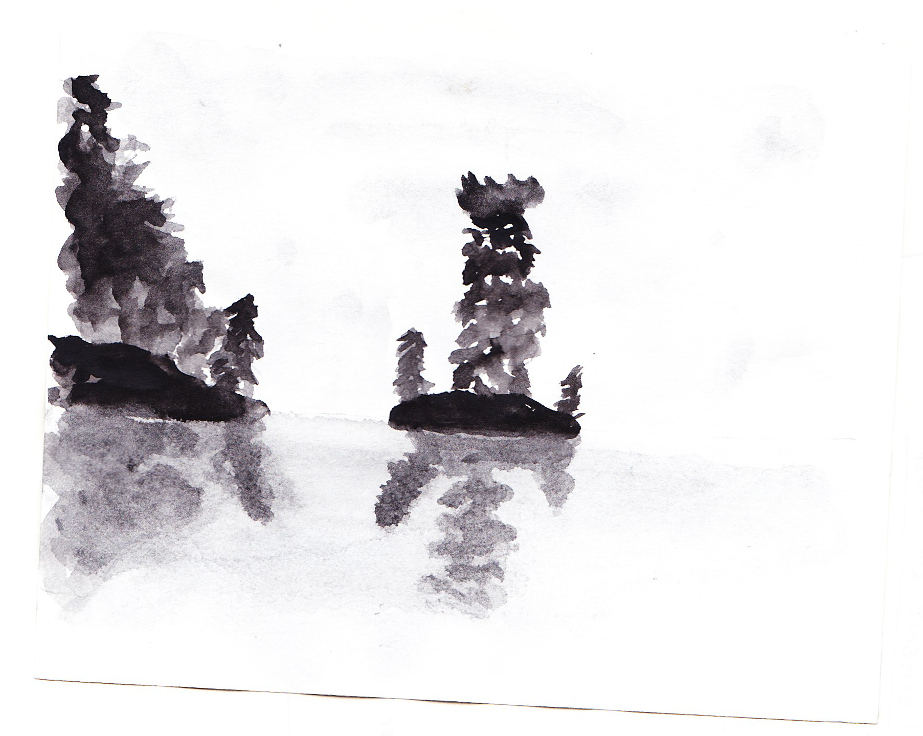 Foggy Morning_Sketchbook.png