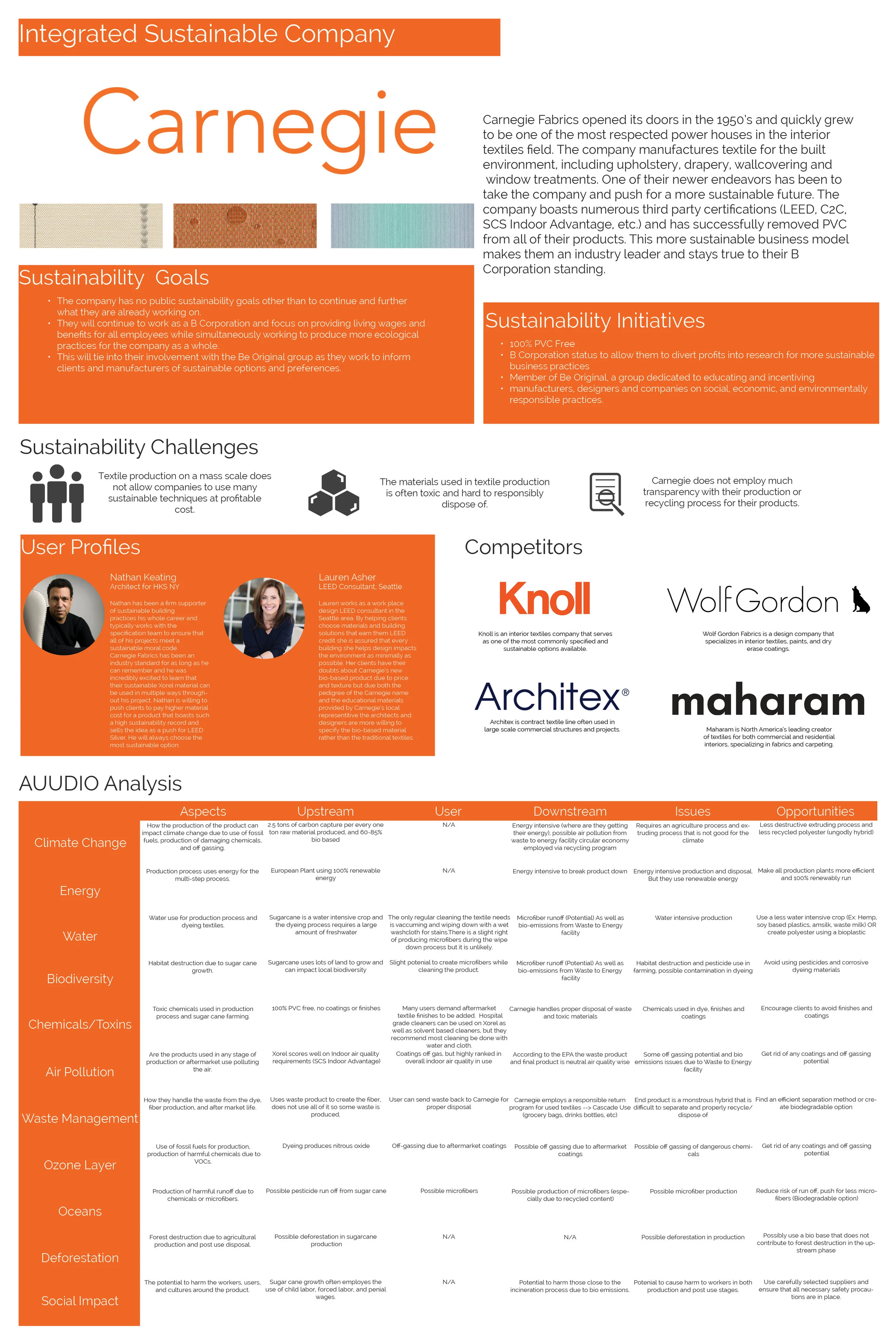Main Competitor Analysis