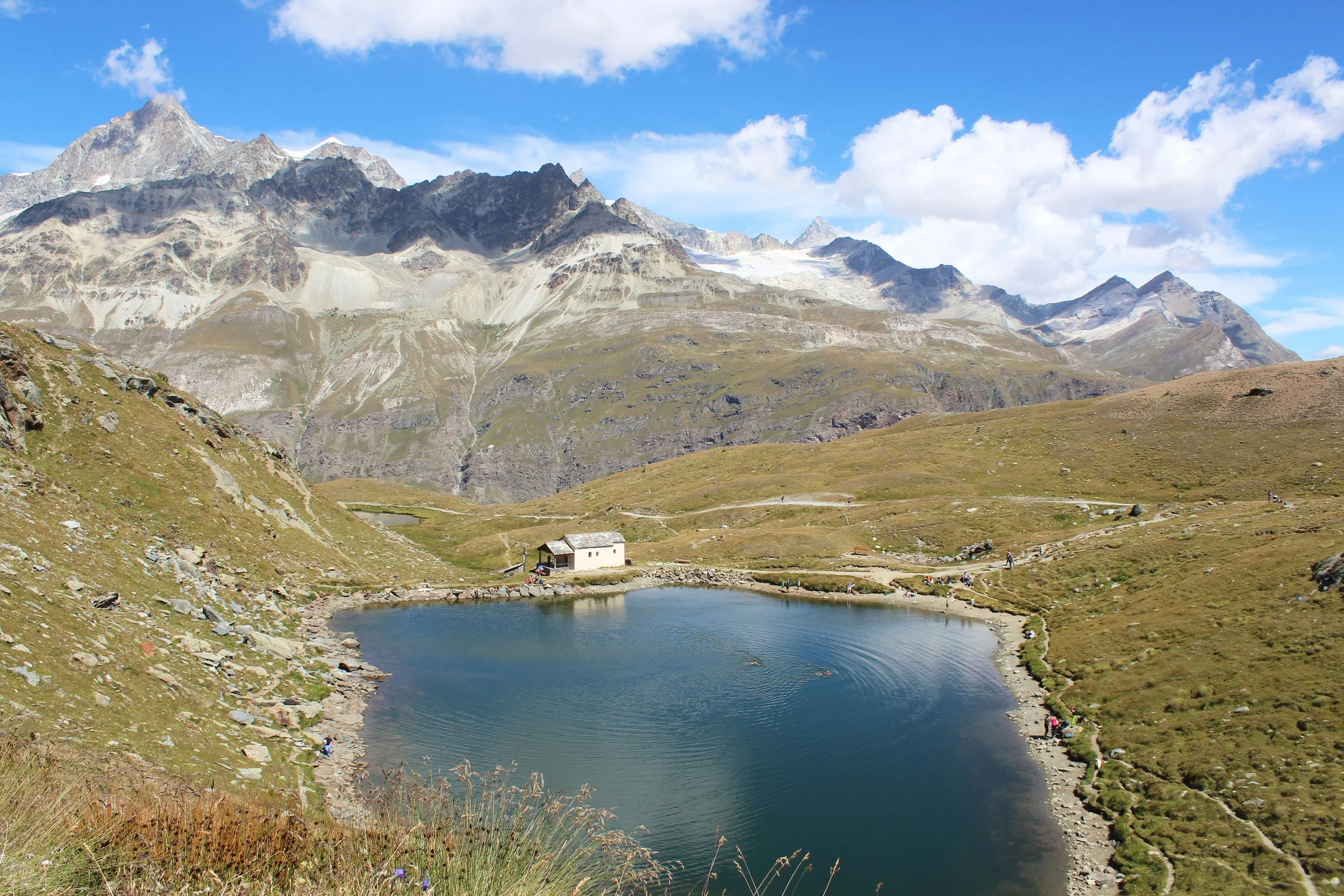 Chapel pond swimmer copy.jpg