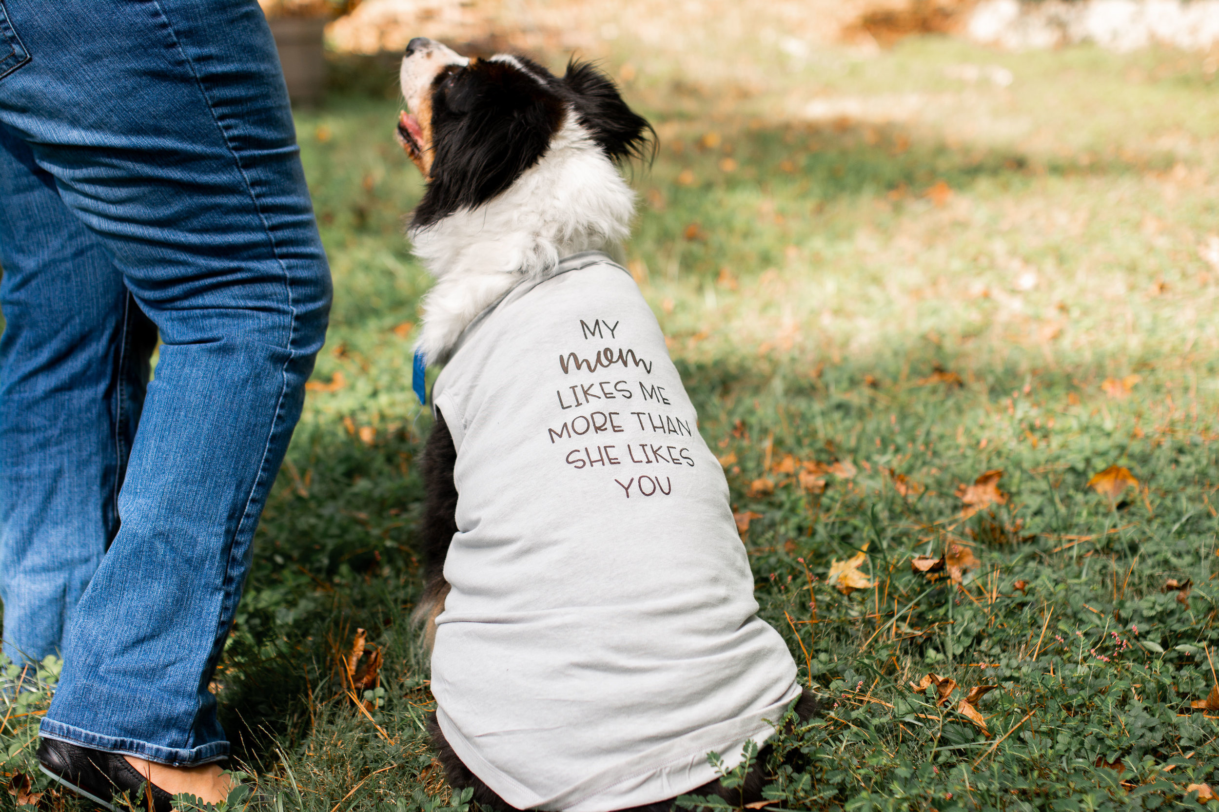 BrittDog(1of25).jpg