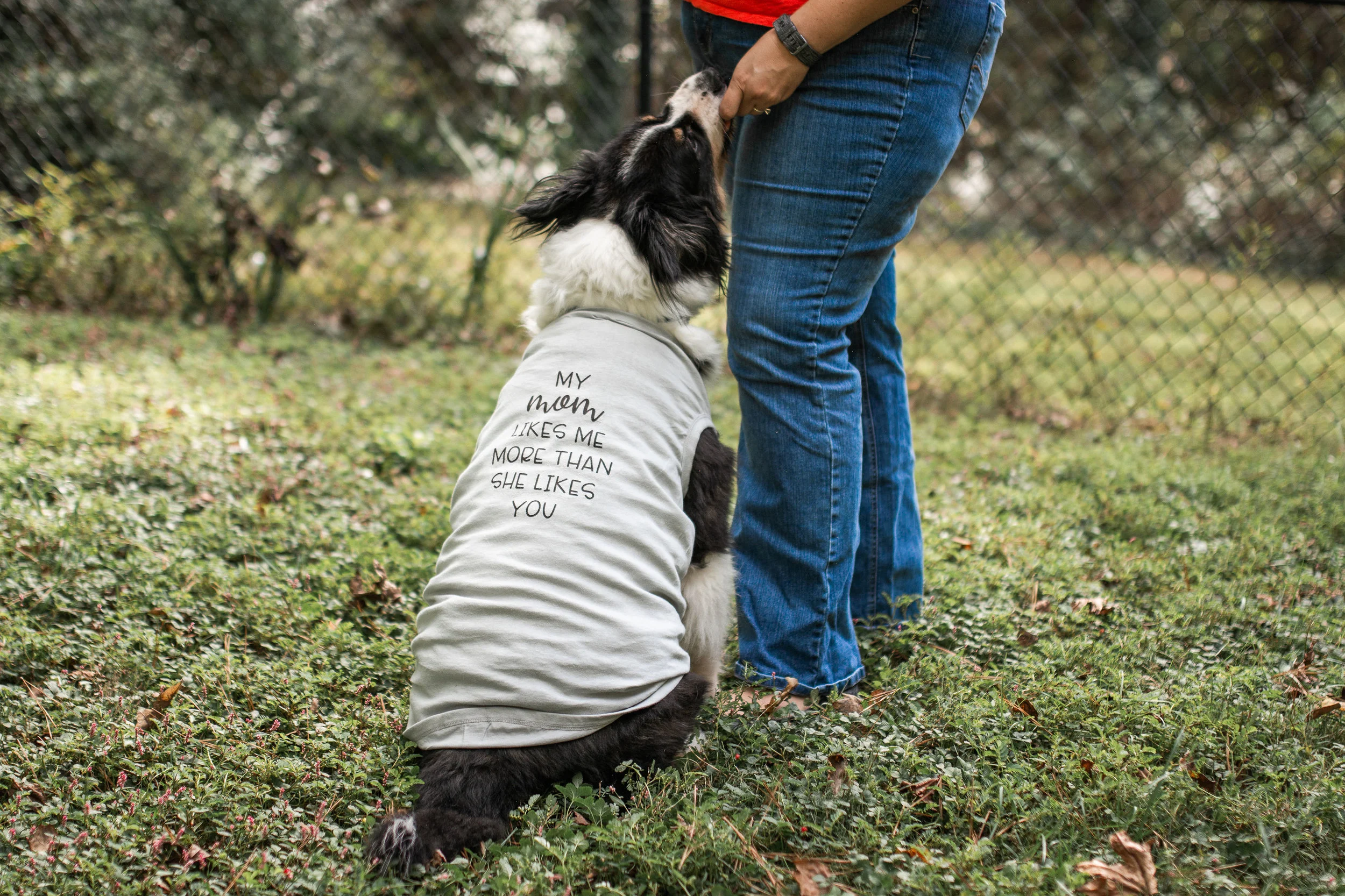 BrittDog(4of25).jpg