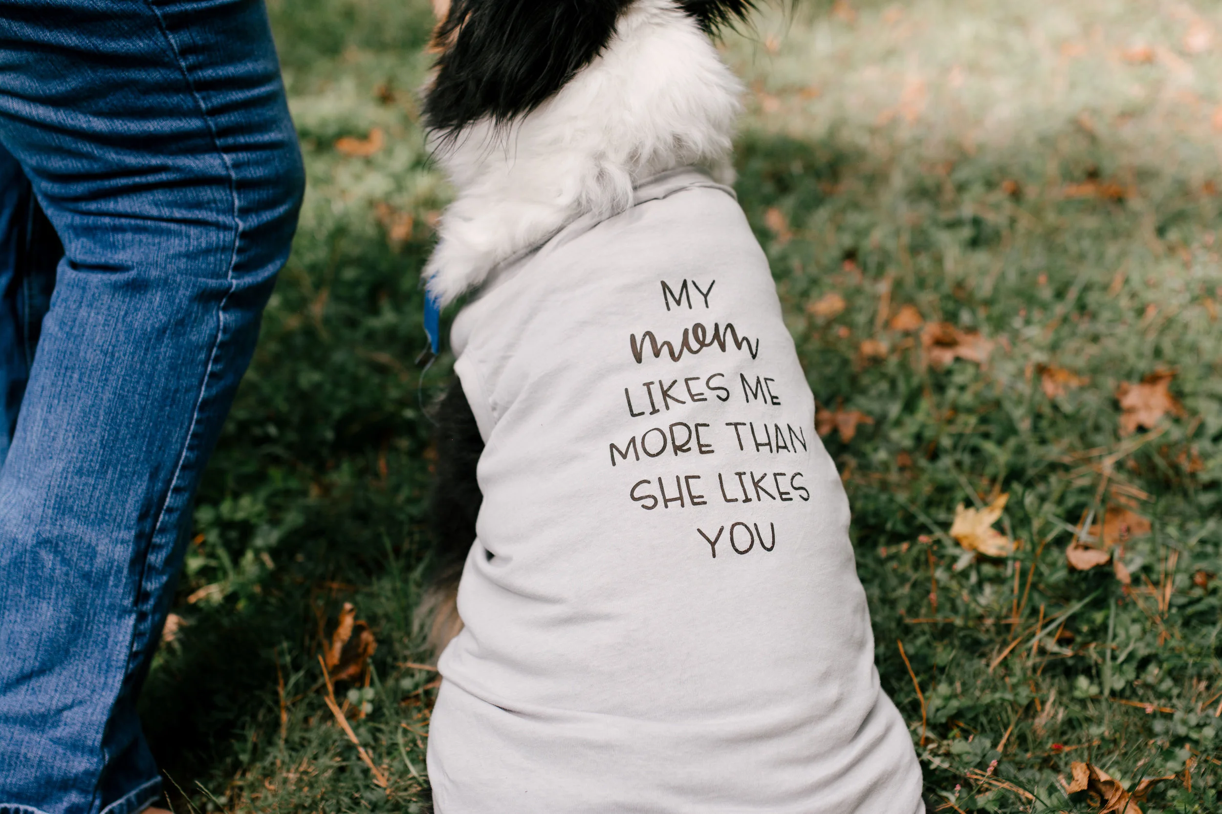 BrittDog(2of25).jpg