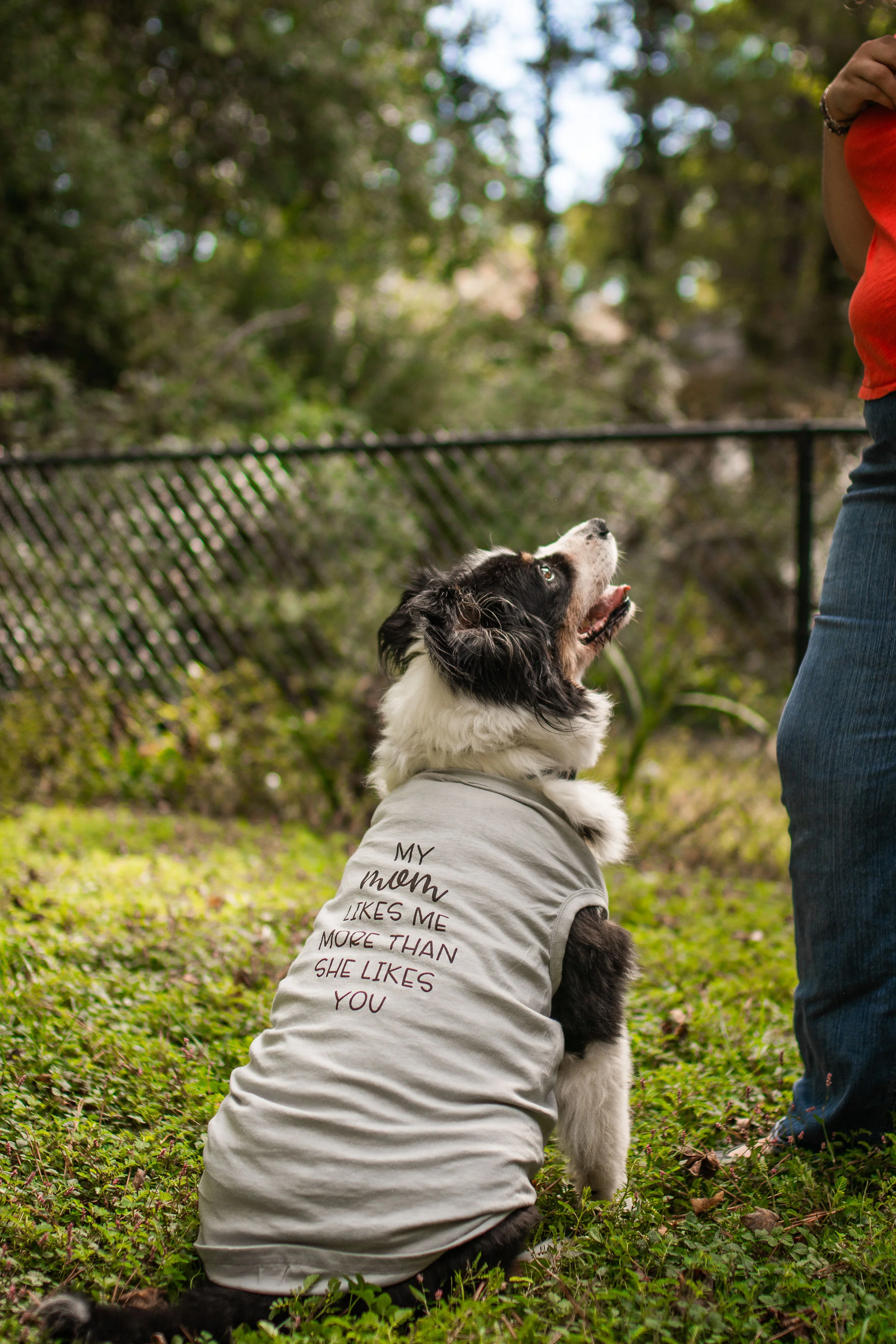 BrittDog(5of25).jpg