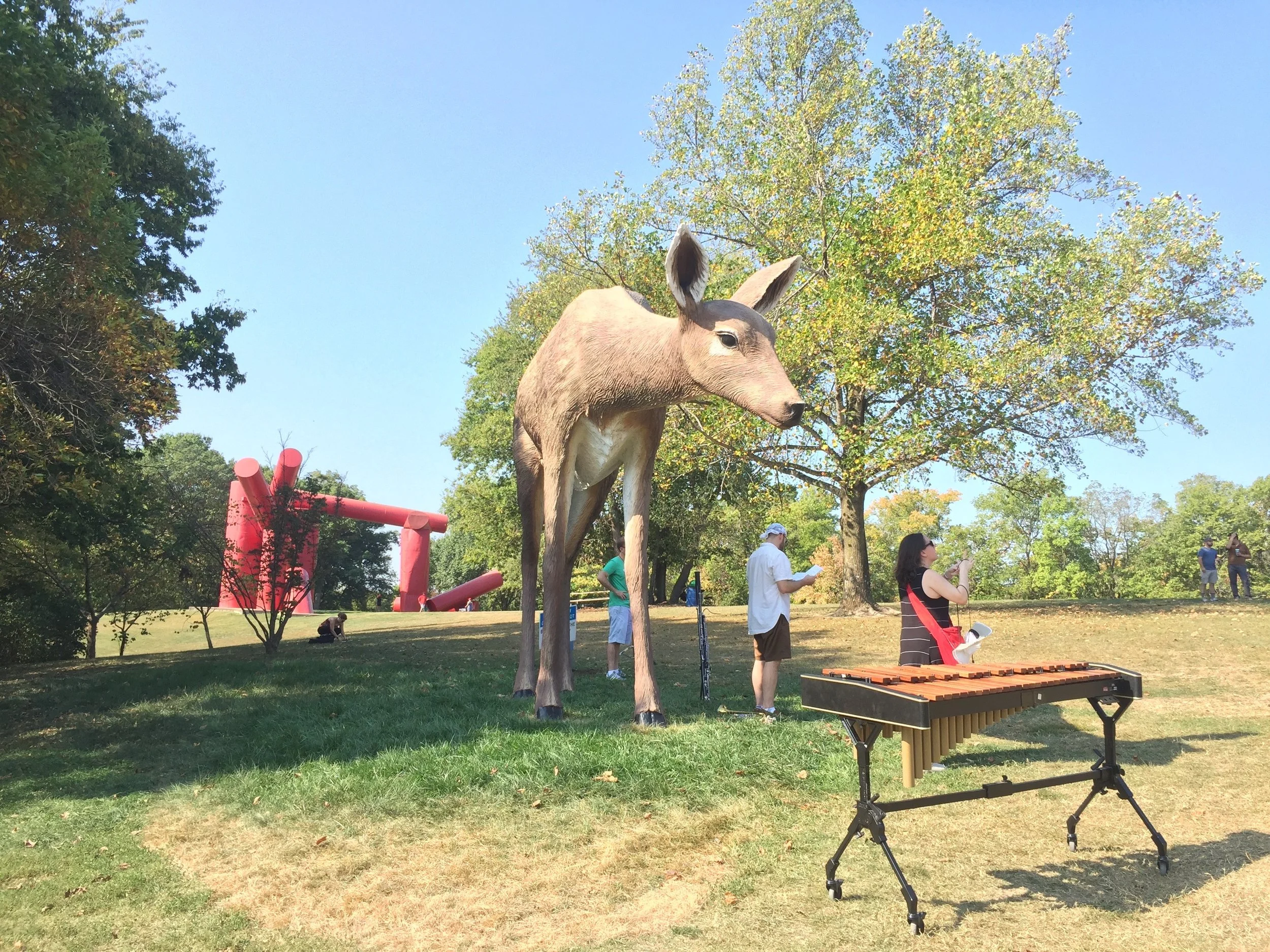 At Laumeier Sculpture Park in St. Louis, for a performance of JLA's 10,000 Birds.