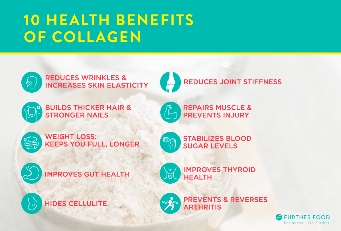 collagen.png