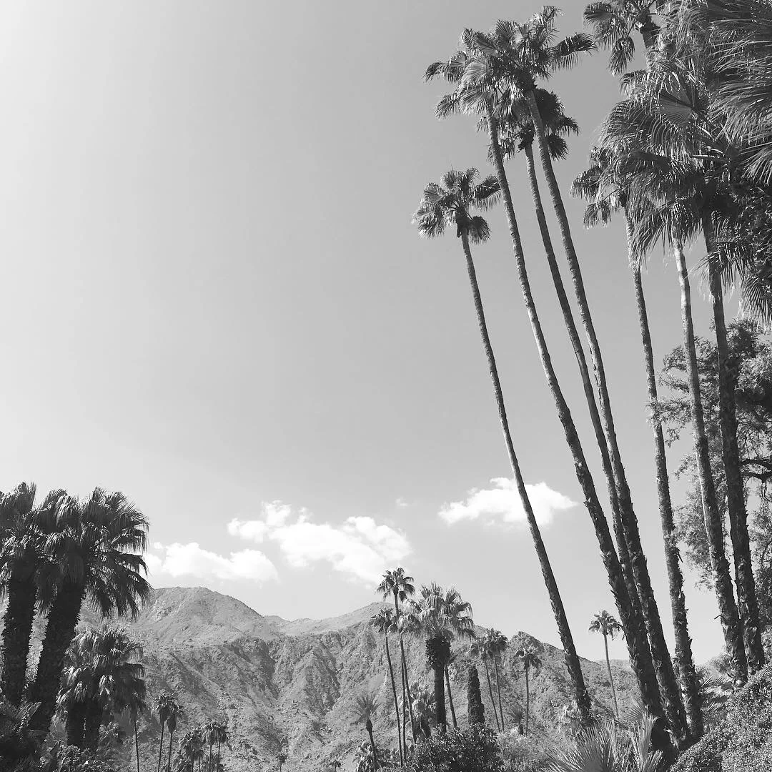 Shift Your Perspective: Look Up