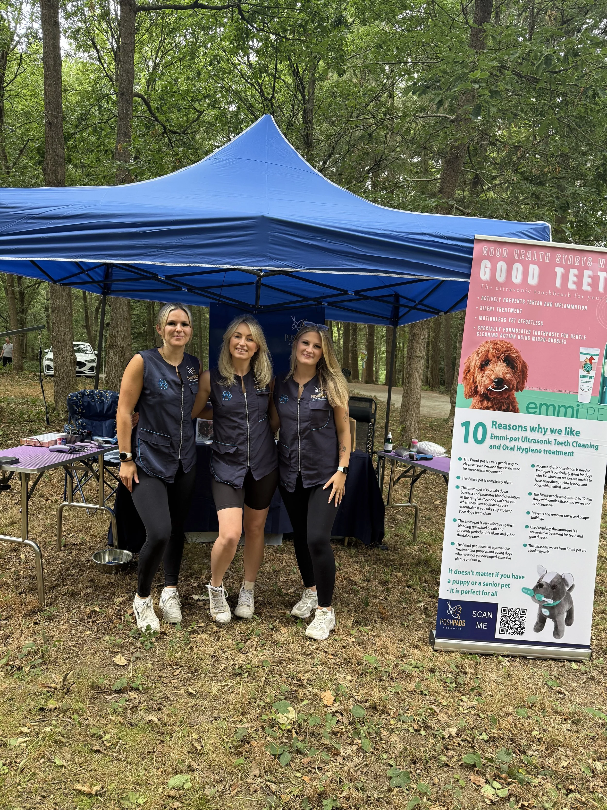 Wyre Forest Waggy Dog Day