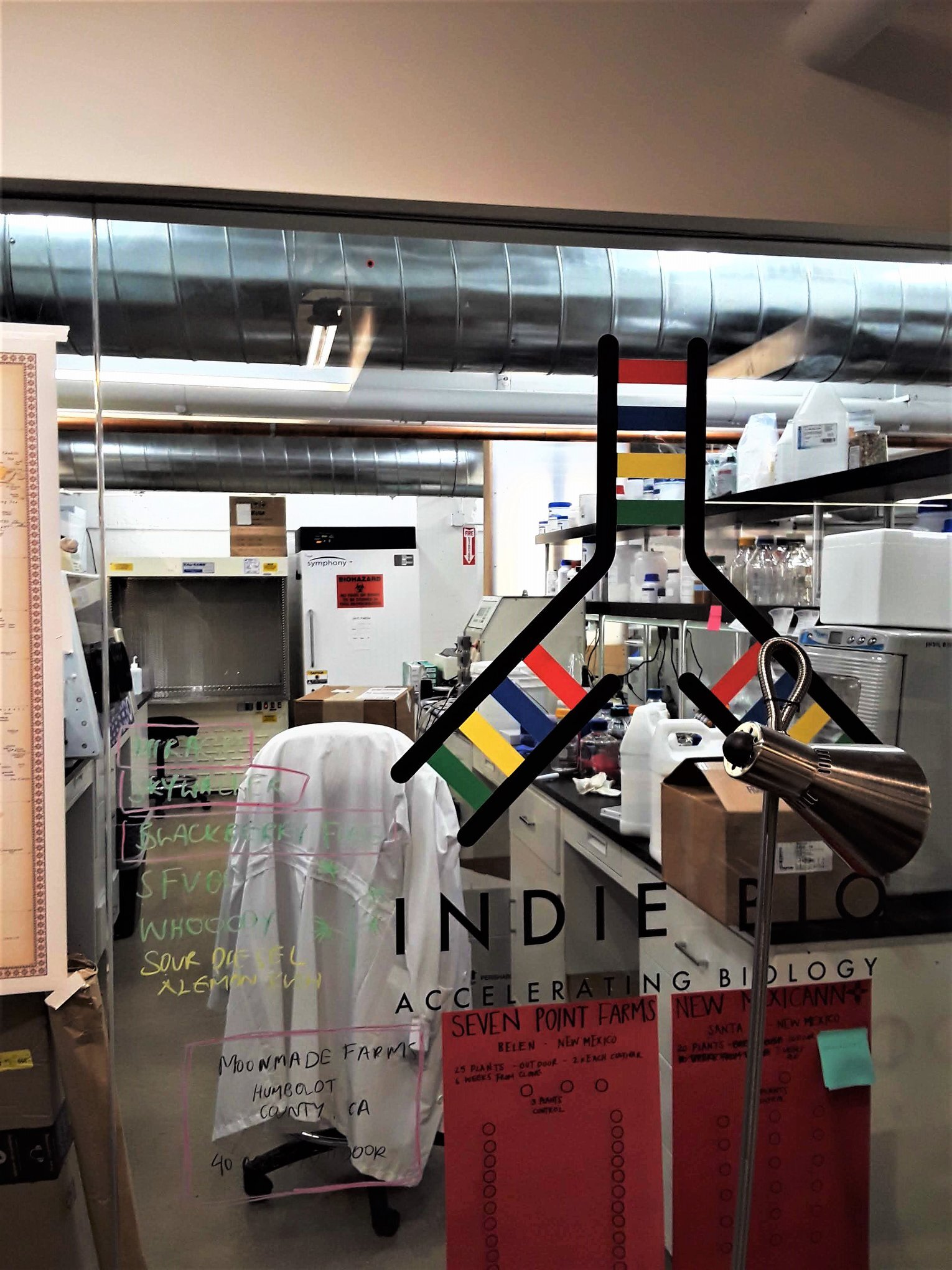 IndieBio - Hax-05.jpg