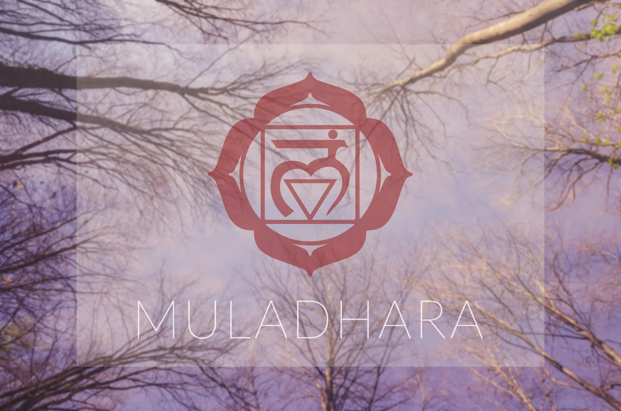 The Chakra Guide: Muladhara