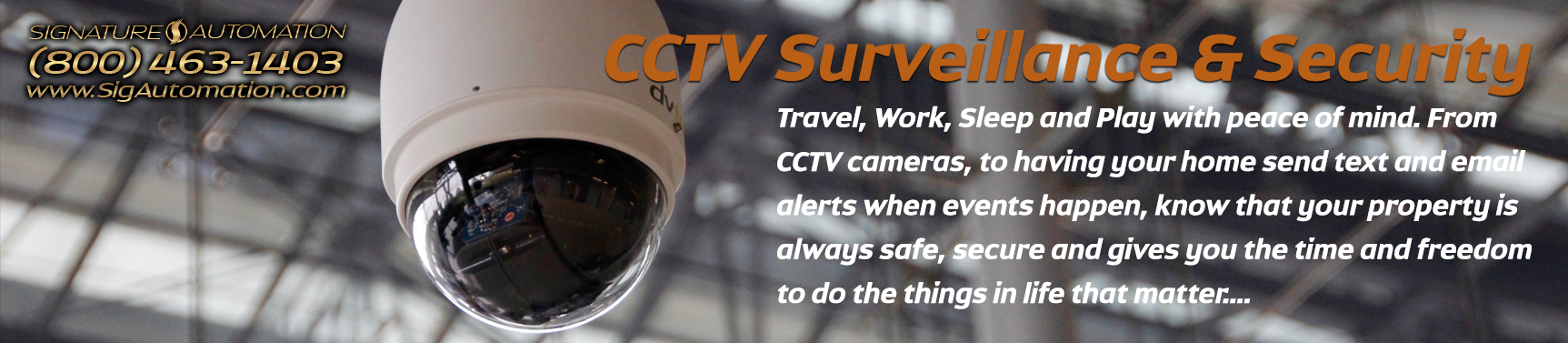 cctv_surveillance.png