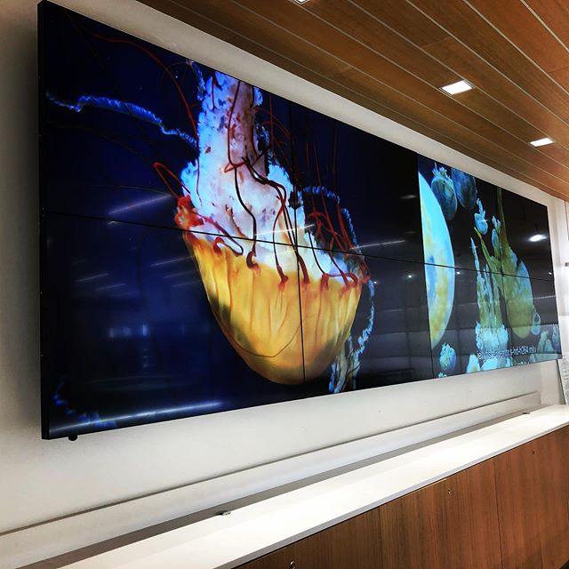 Dual 2x2 LG Commercial Display Video Walls setup for a retail location. 170&rdquo; x 48&rdquo;. @signatureautomation @lgtelevision @control4_smart_home #Control4 #c4yourself