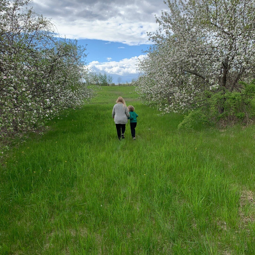 I love that my kids love nature as much as I do. Walks in the orchards make my heart sing. ​​​​​​​​
​​​​​​​​
#newenglandlife #nhspring #springishere #momlife