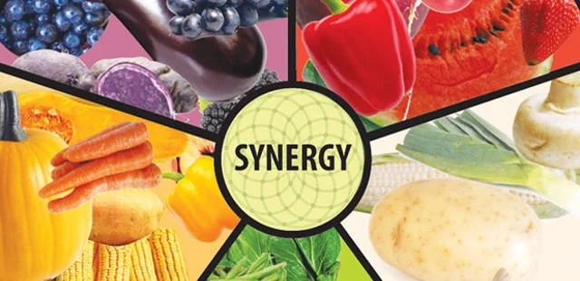 2013-05-27-5-ways-to-improve-nutrient-absorption-synergy.jpg