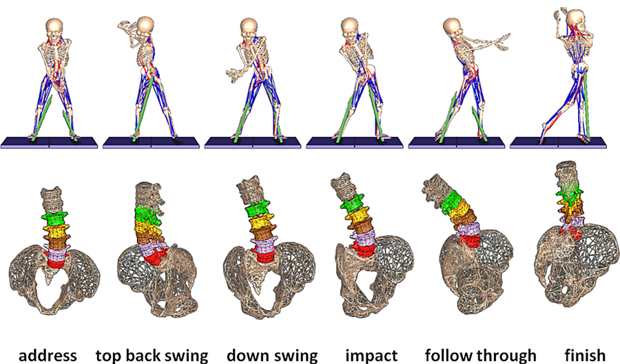 Kinematics of the low back during the golf swing.