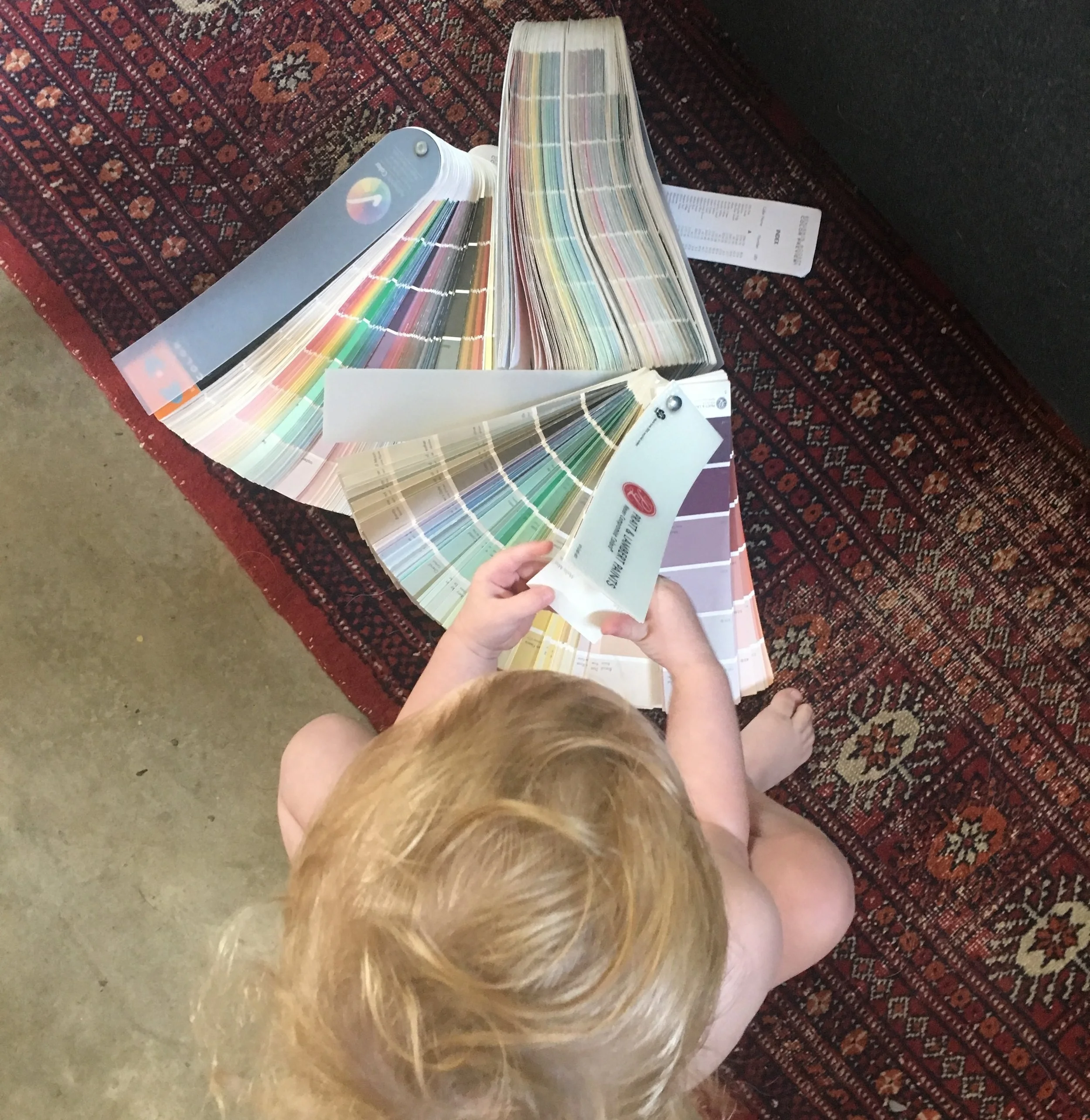 Designer's Favorites - Violets + Blushes + Pinks