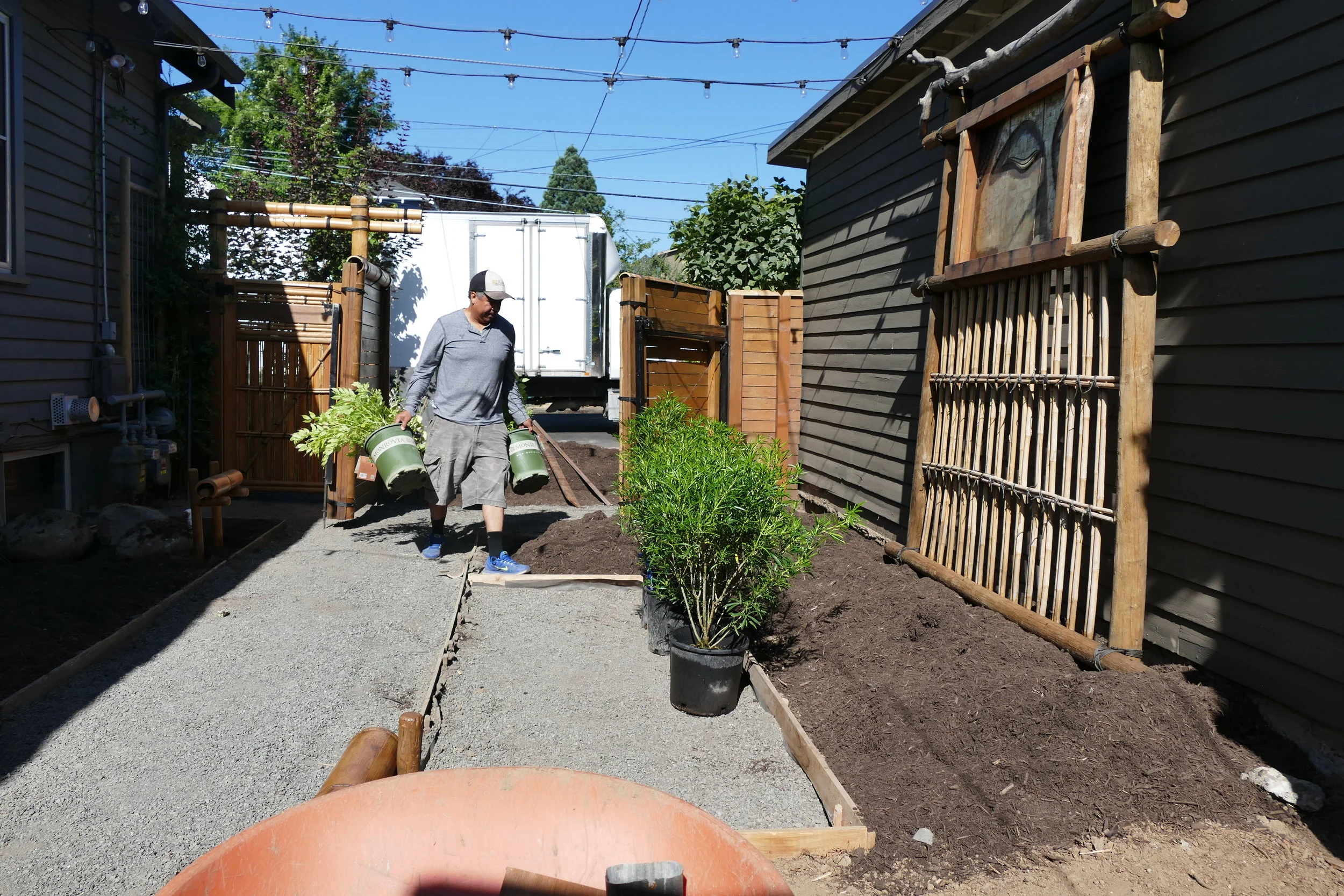 Finding the exact plants we needed were quite the challenge. A specialty plant procurement company was used to drive to the various nurseries in Oregon to pick up the plants according to the design. Even then, some plants were not available and we will have to wait until spring to add them into the planting plan.