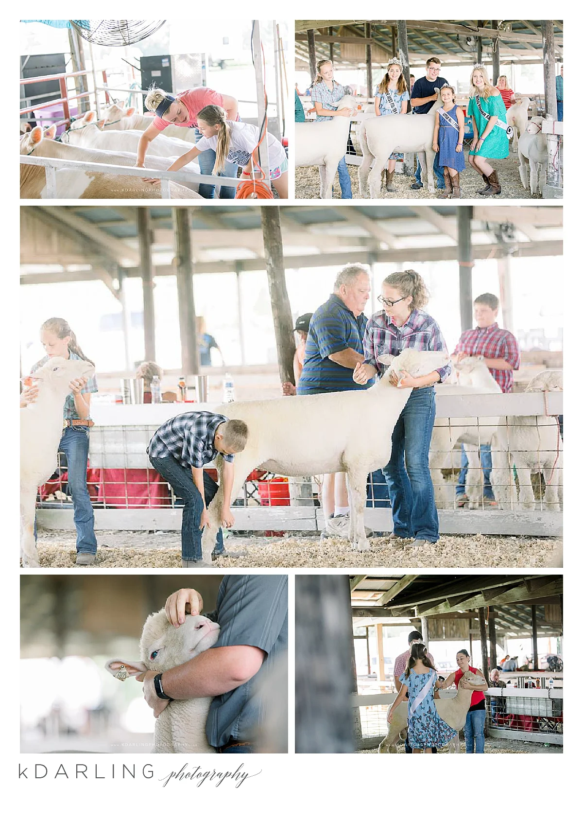 Fisher-Fair-in-Champaign-County-IL-Carnival-Livestock-swyear-amusements
