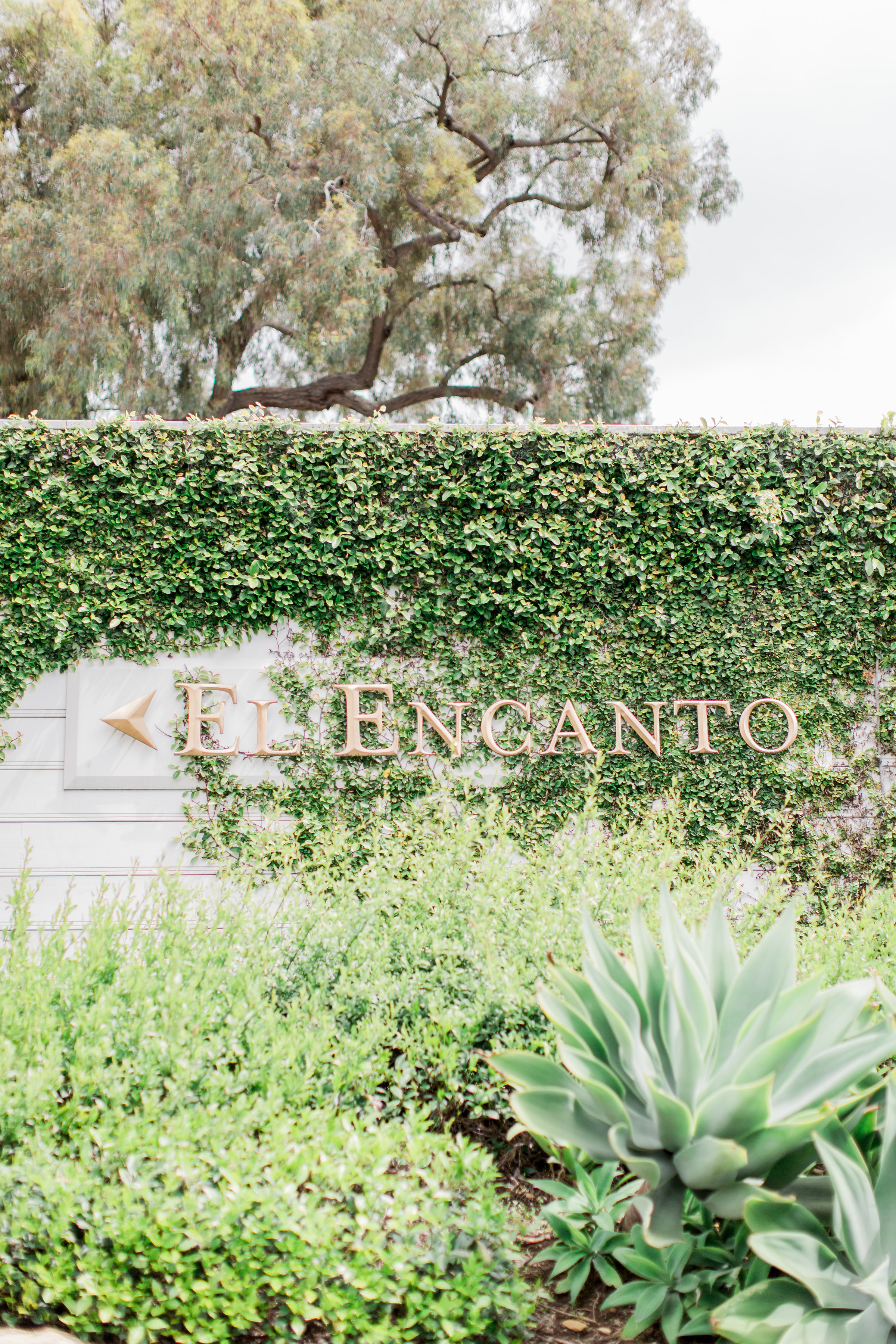 JennyQuicksallPhotography_ElizabethandJimmy_BelmondElEncantoWedding-10.jpg