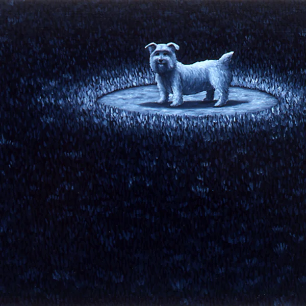 dogsofmedina_19.jpg