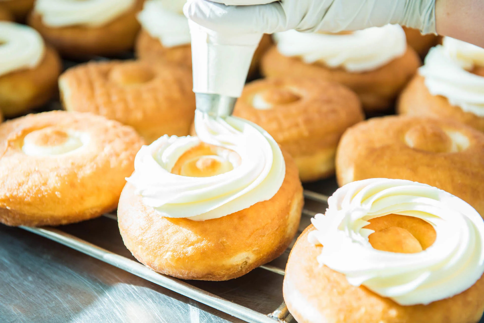 donut man-8.jpg