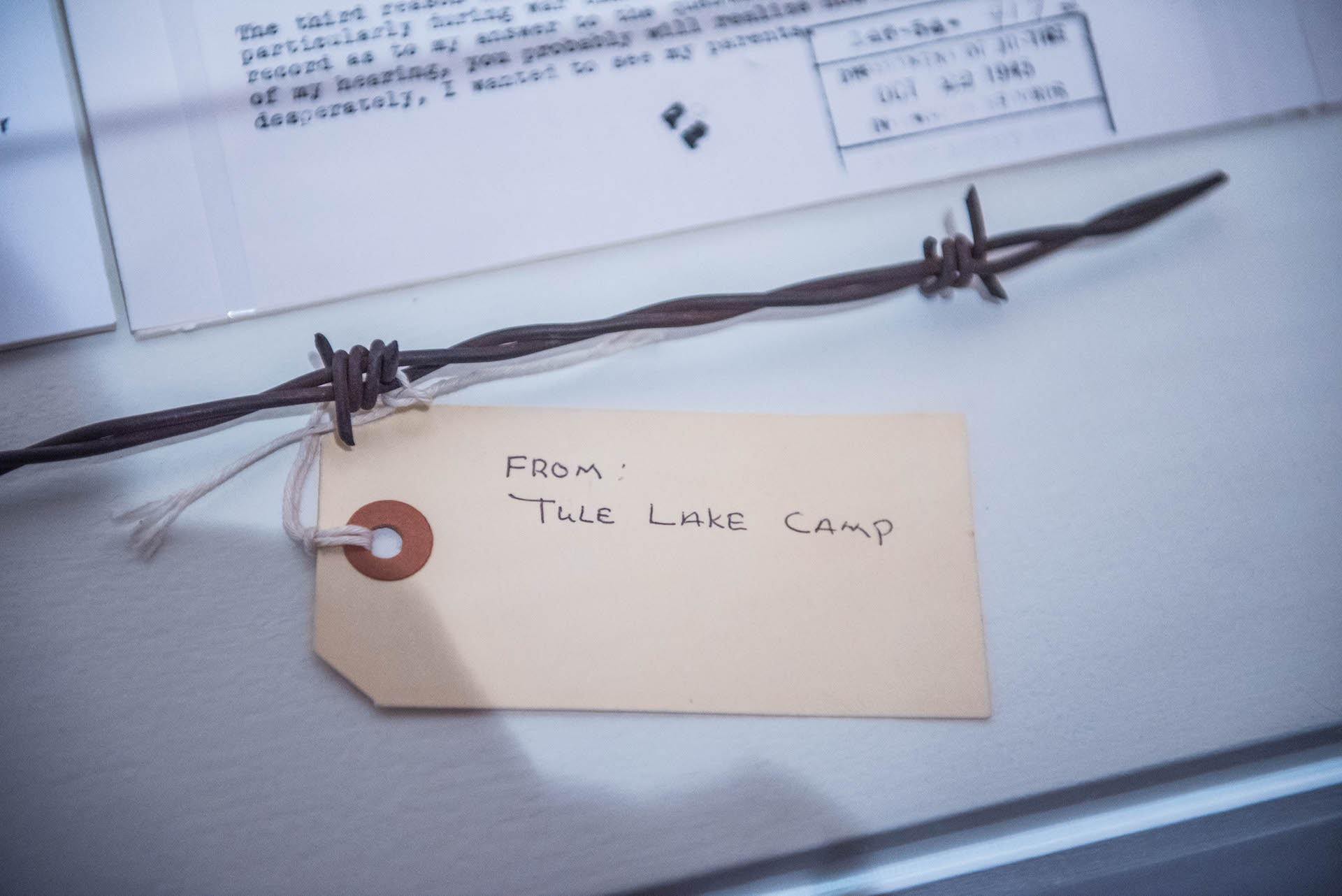 A piece of the barbed wire from Tule Lake where Takei and his family were interned.