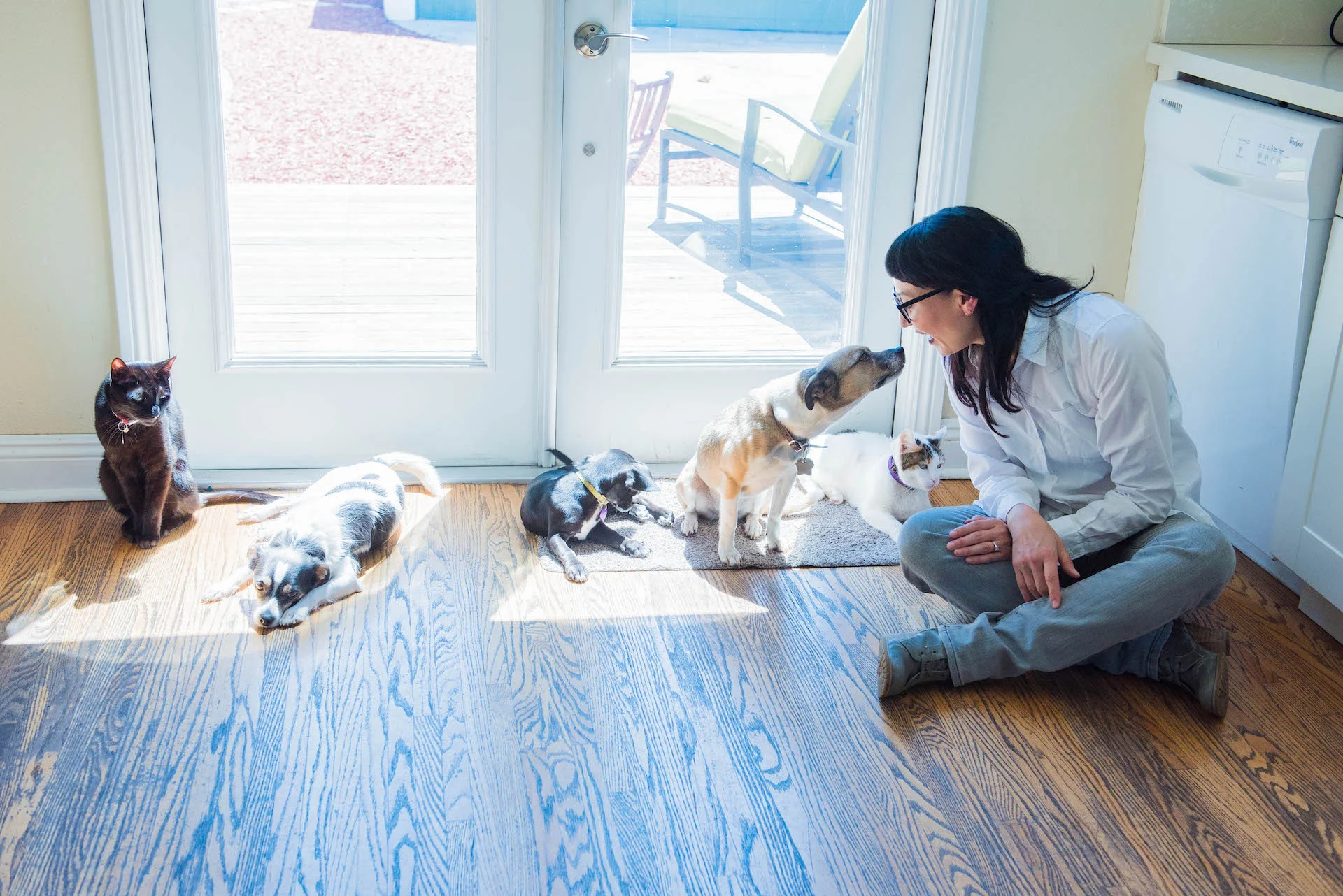 Mari's cats and dogs are adorable.