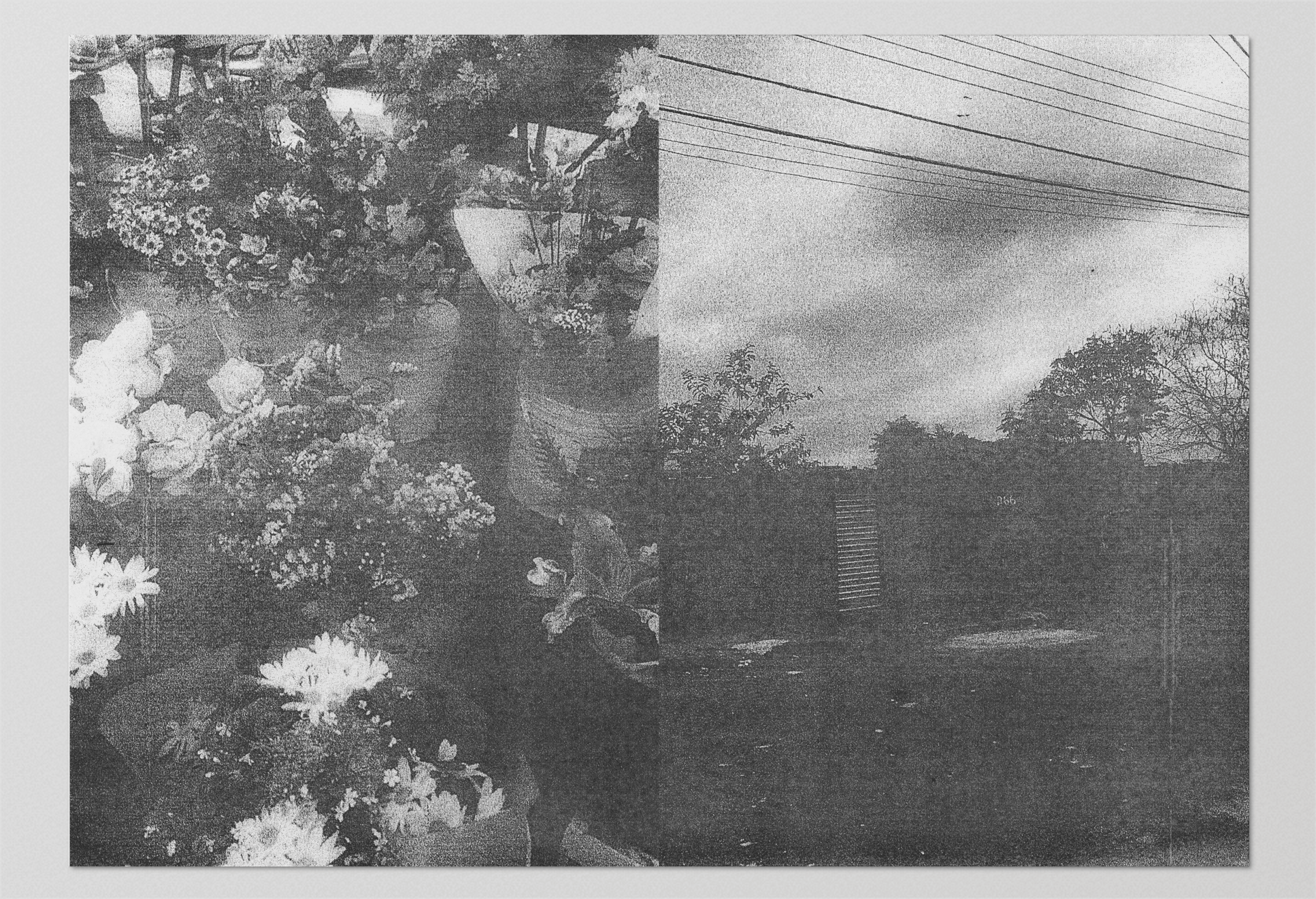 zine-layout-7.gif