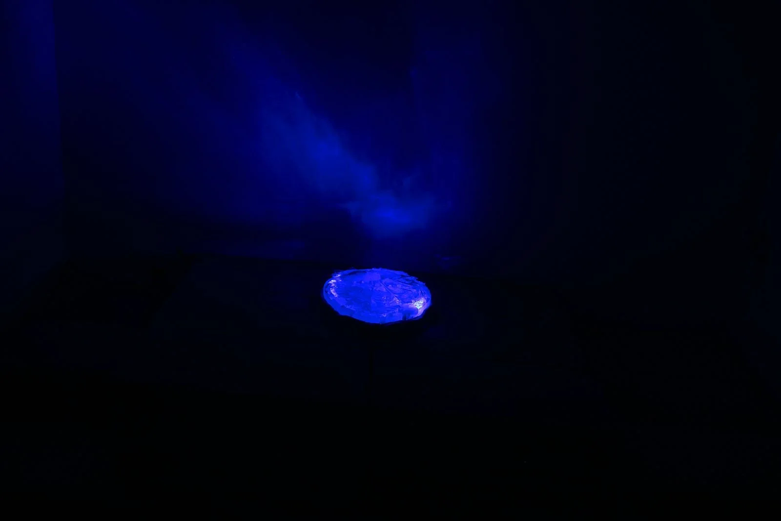 WhatsApp Image 2025-09-26 at 19.14.45 (1).jpeg