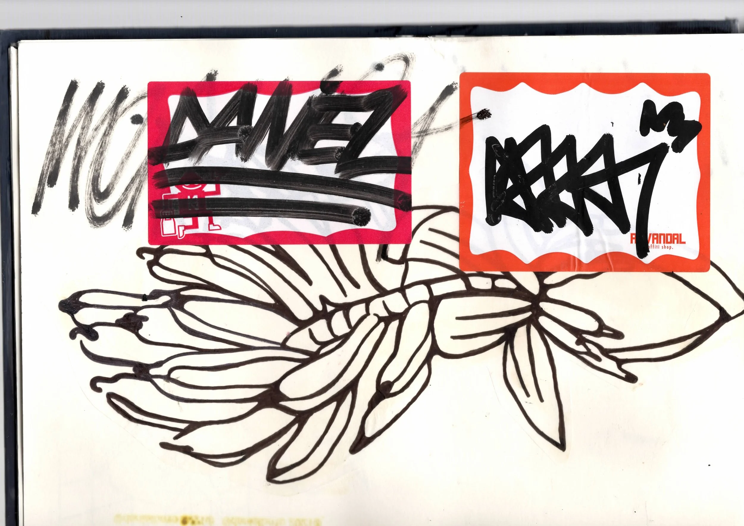 Escaneamento - cópia 2.jpeg