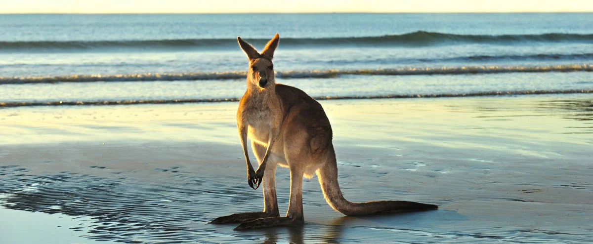 Australia! 