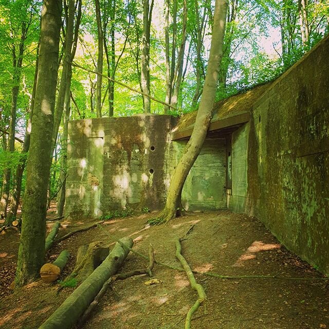 The Hague was liberated on May 8, 1945. 75 years of freedom today. The coronacrisis makes me even more appreciative  of our freedom. This nazi bunker is one of so many, a silent reminder in our forests- overgrown by nature. Strong concrete-freedom so